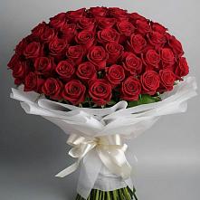 101 Красная роза Блэк Мэджик в Темнолесской Букет 101 Красная роза Блэк Мэджик в Темнолесской