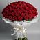 Букет 101 Красная роза Блэк Мэджик в Темнолесской