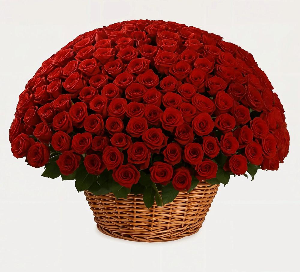251 Премиум красная роза в Темнолесской Премиум букет из: Розы в Темнолесской