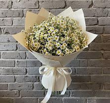 Букет цветов из:  Ромашки в Темнолесской