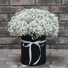 Композиция коробка гипсофил в Темнолесской Цветочная композиция из Гипсофила в шляпной коробке в Темнолесской