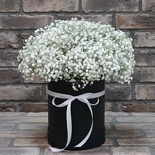 Цветочная композиция из Гипсофила в шляпной коробке в Темнолесской