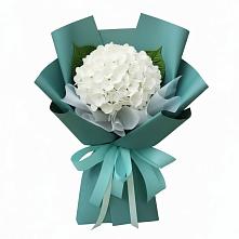 Букет цветов из:  Гортензия в Темнолесской